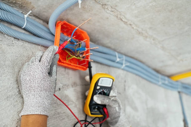 Best Local Electrician Companies  in Union City, MI